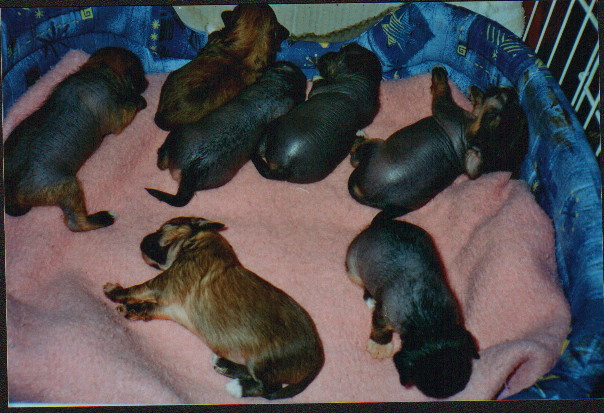 foto10.JPG